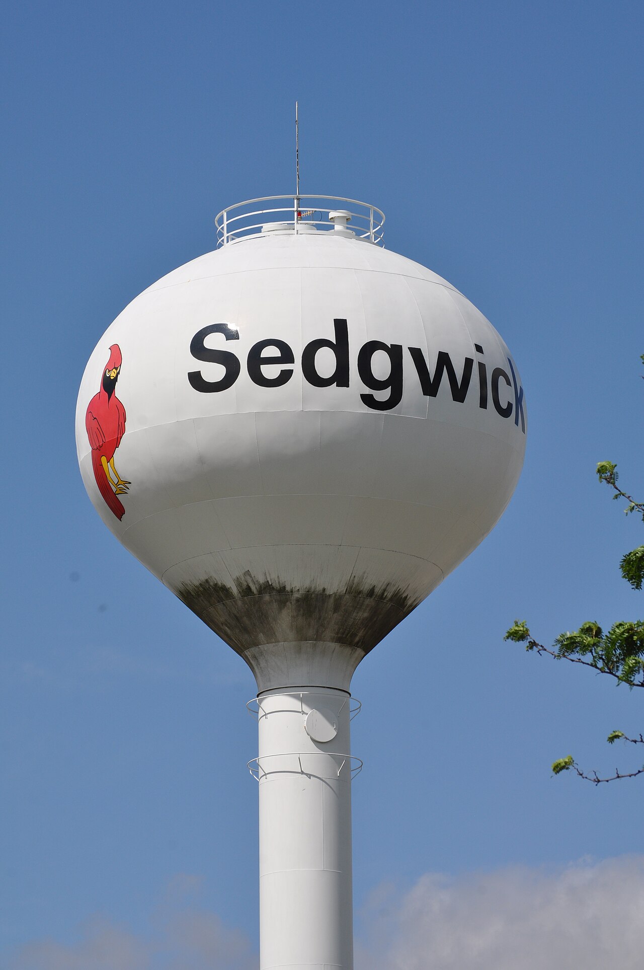 Sedgwick